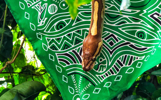 GREEN BANDANA AFRICAN PRINT - KAMDANA